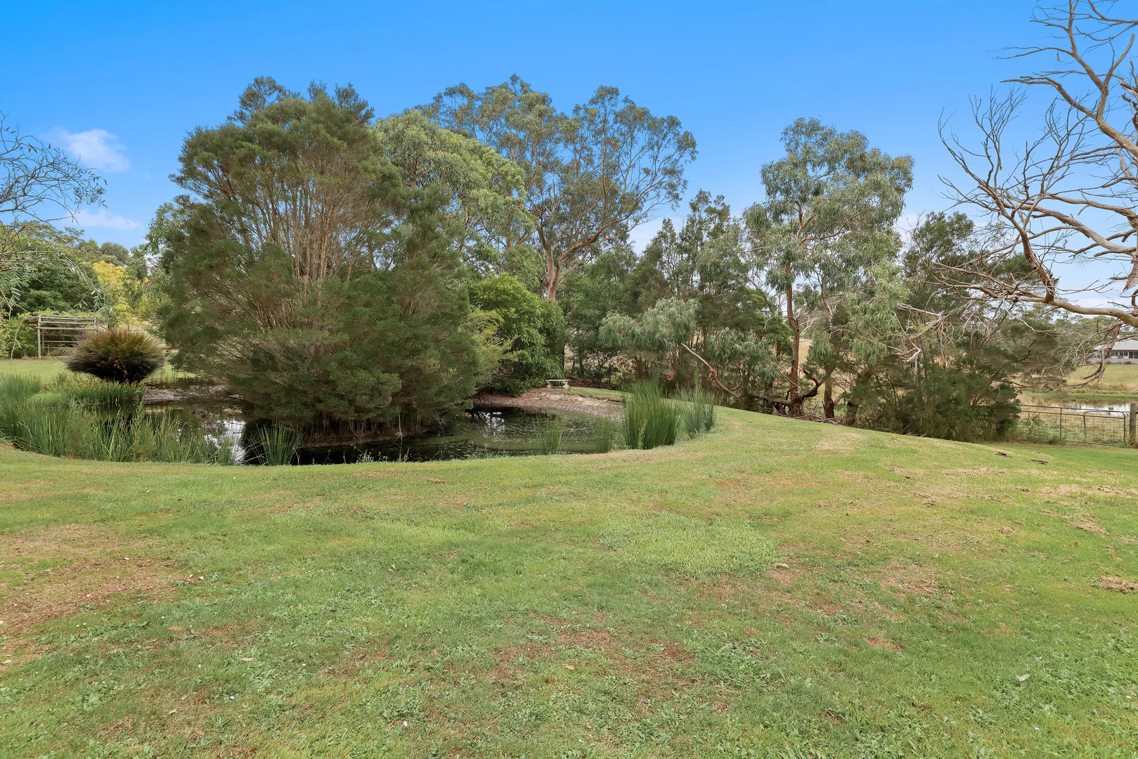 Additional image 16 of 29 Hall Road, Buffalo VIC 3958