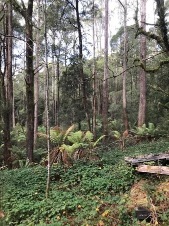 Additional image 2 of 2 Murchison Highway, Rosebery TAS 7470