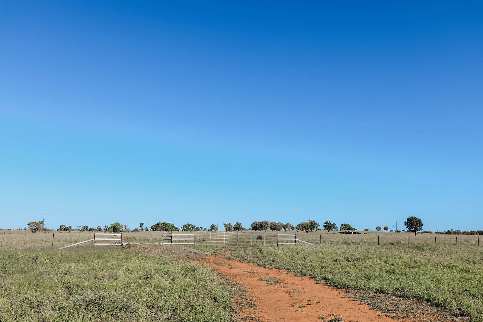 Additional image 22 of 888 Dargal Road, Roma QLD 4455