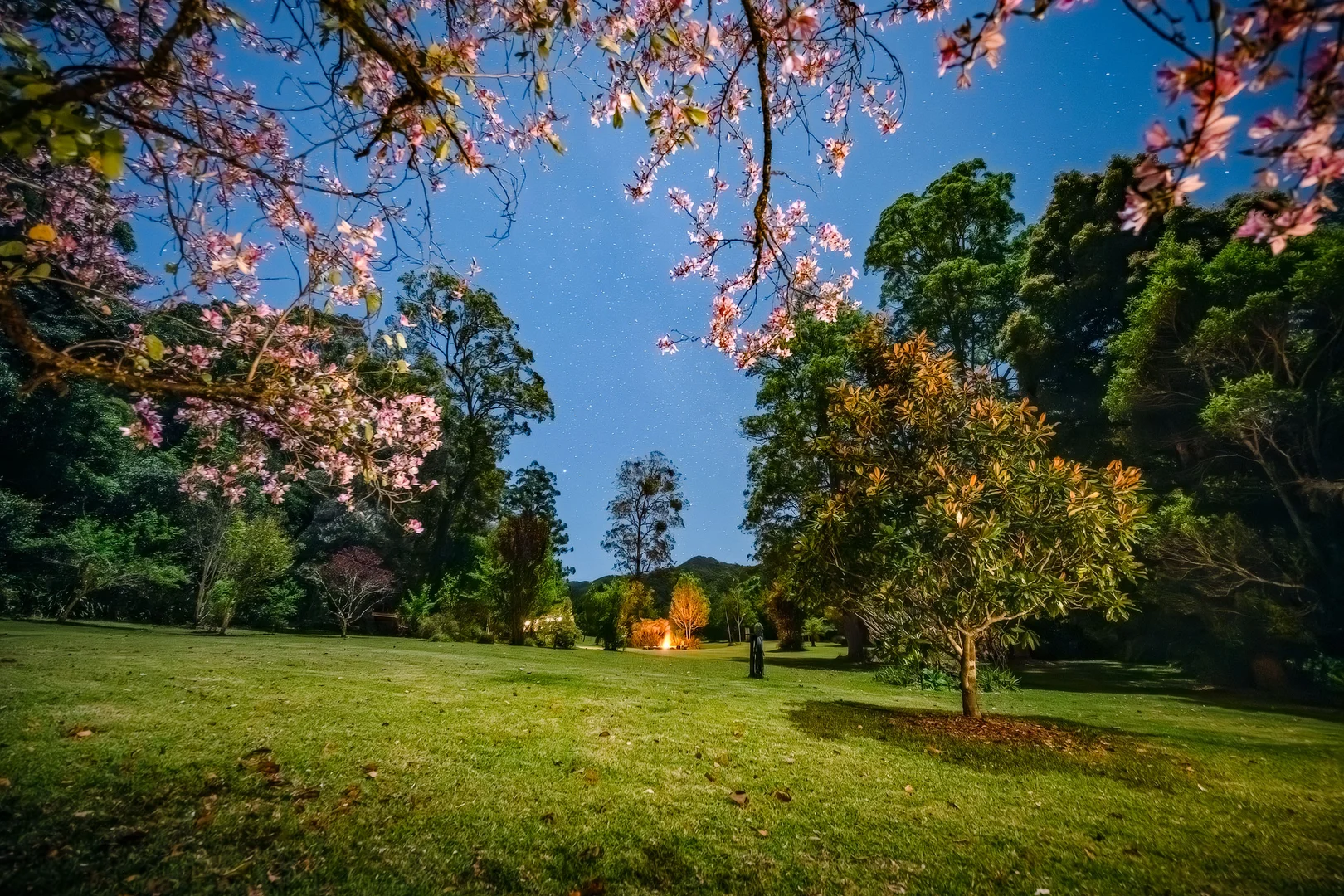 Additional image 19 of 816 Summervilles Road, Bellingen NSW 2454