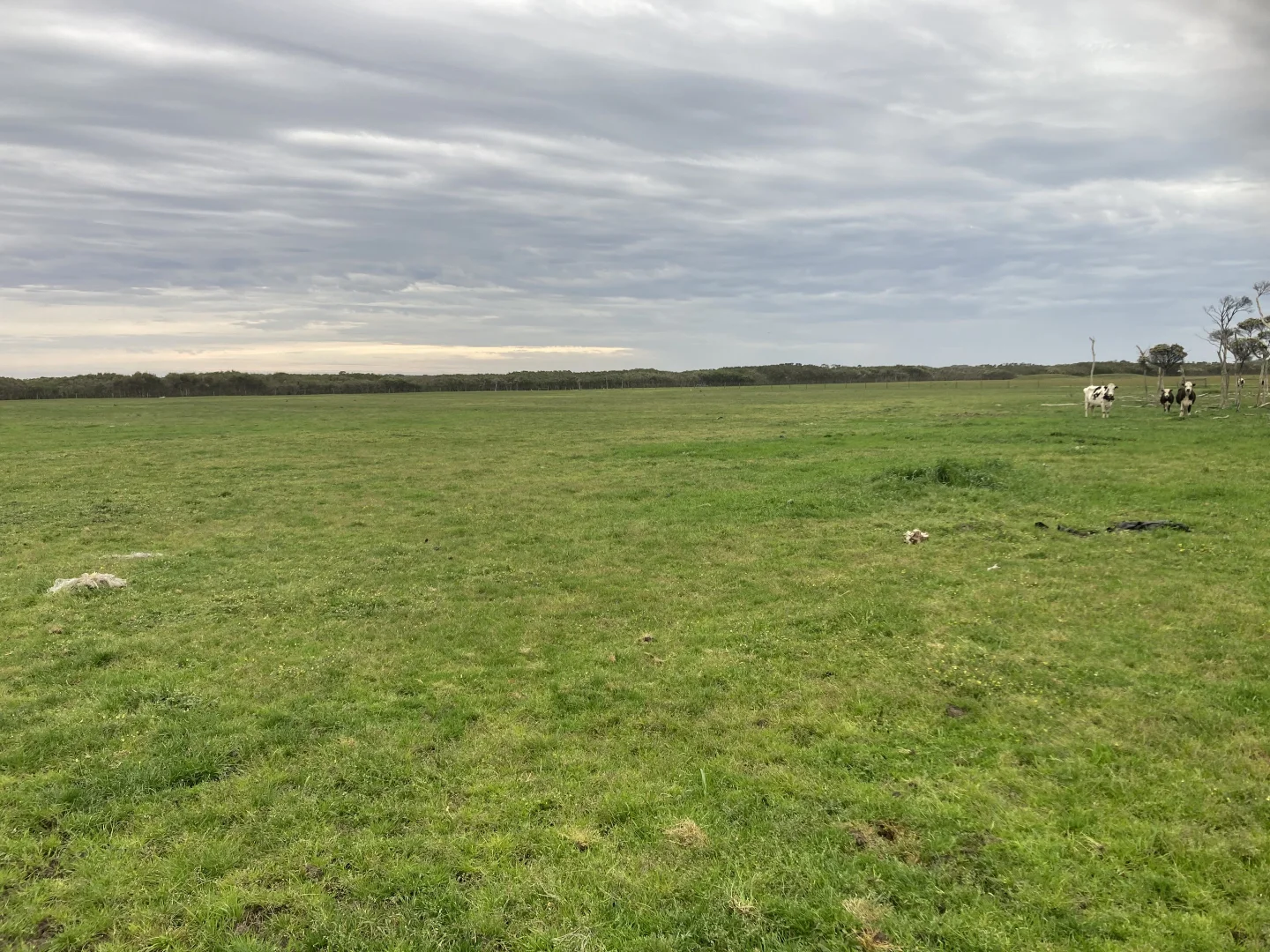 Additional image 13 of 4090 Bass Highway, Dalyston VIC 3992