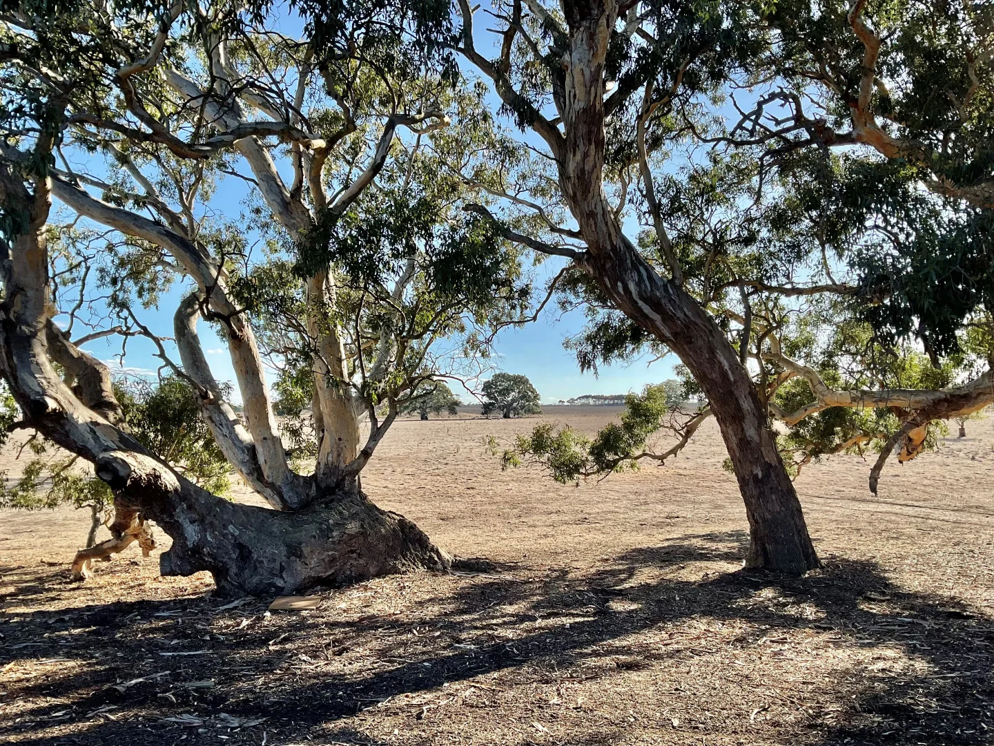 Additional image 10 of 110 Woorndoo-Chatsworth Road, Woorndoo VIC 3272