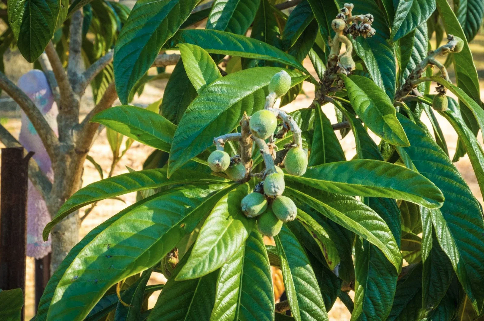 Additional image 14 of 950 Wagonga Scenic Drive, Narooma NSW 2546