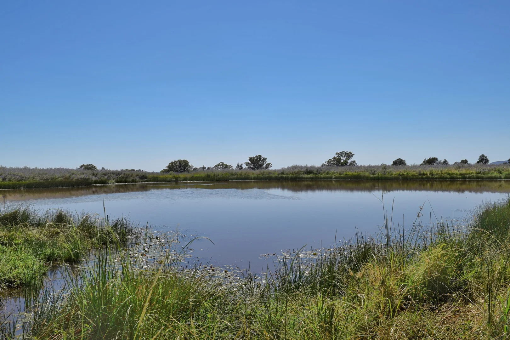 Additional image 6 of 179 Mittons Lane 'Lorna Doone', Pinnacle NSW 2810