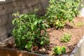 Additional image 51 of 4451 Saint Andrews Rd, Oakland, CA, 94605