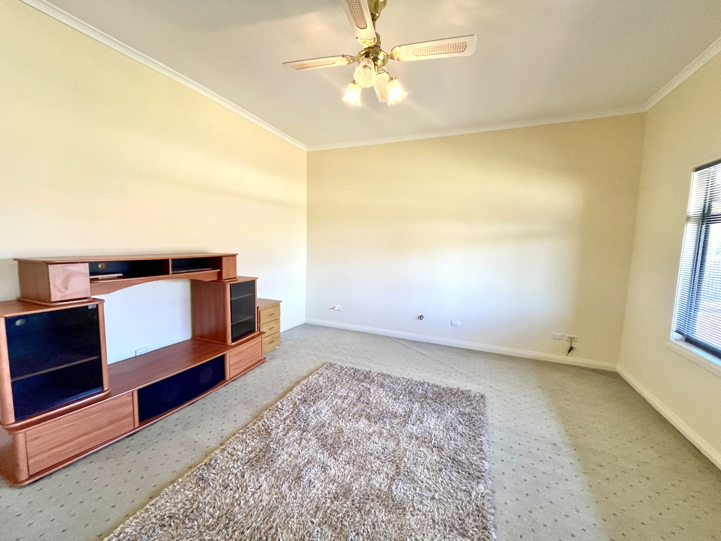 Additional image 4 of 21 Haynes Street, Bordertown SA 5268