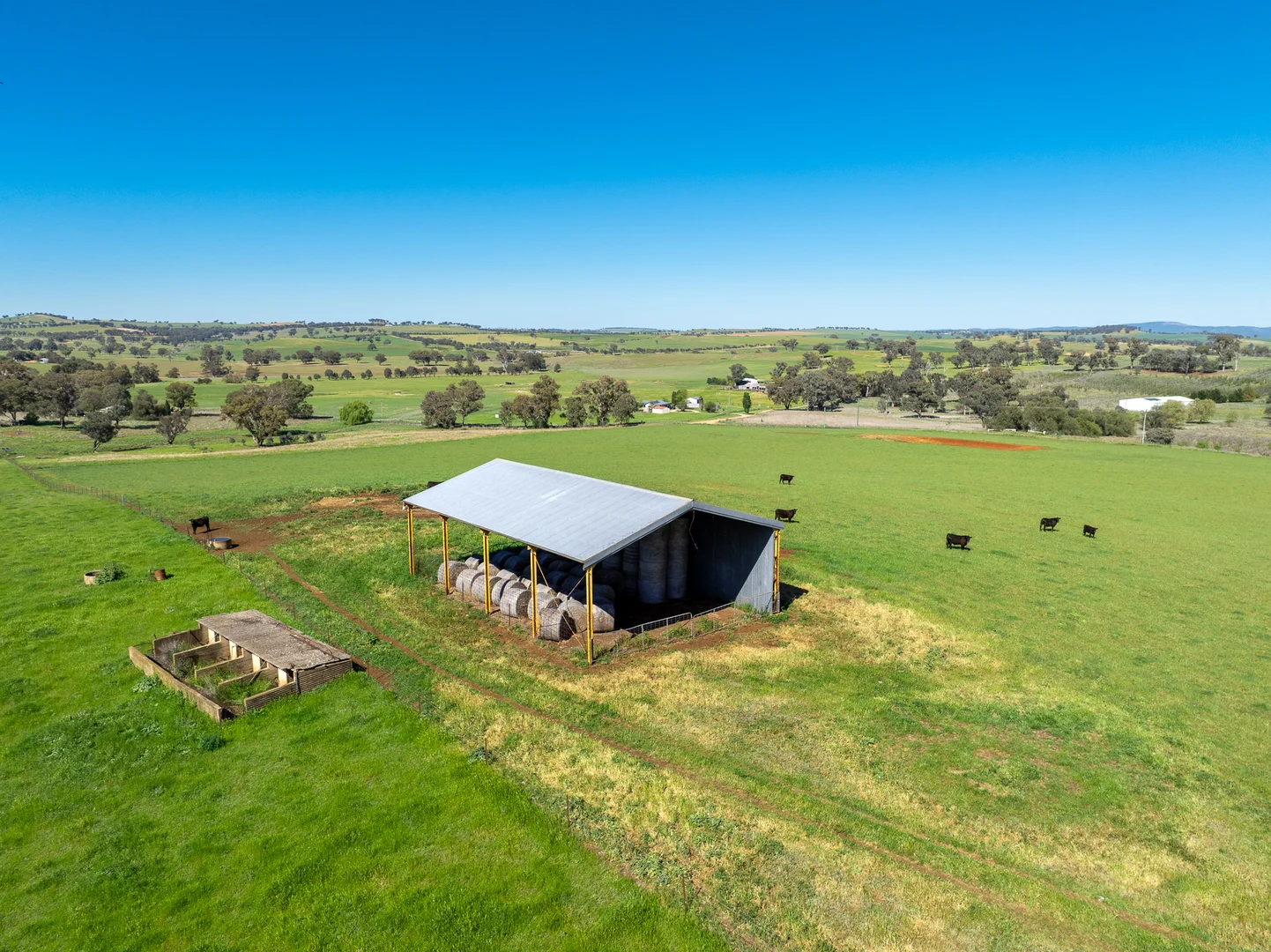 Additional image 23 of 'Wandella Park' 1097 Davys Plains Road via Cudal,, Orange NSW 2800