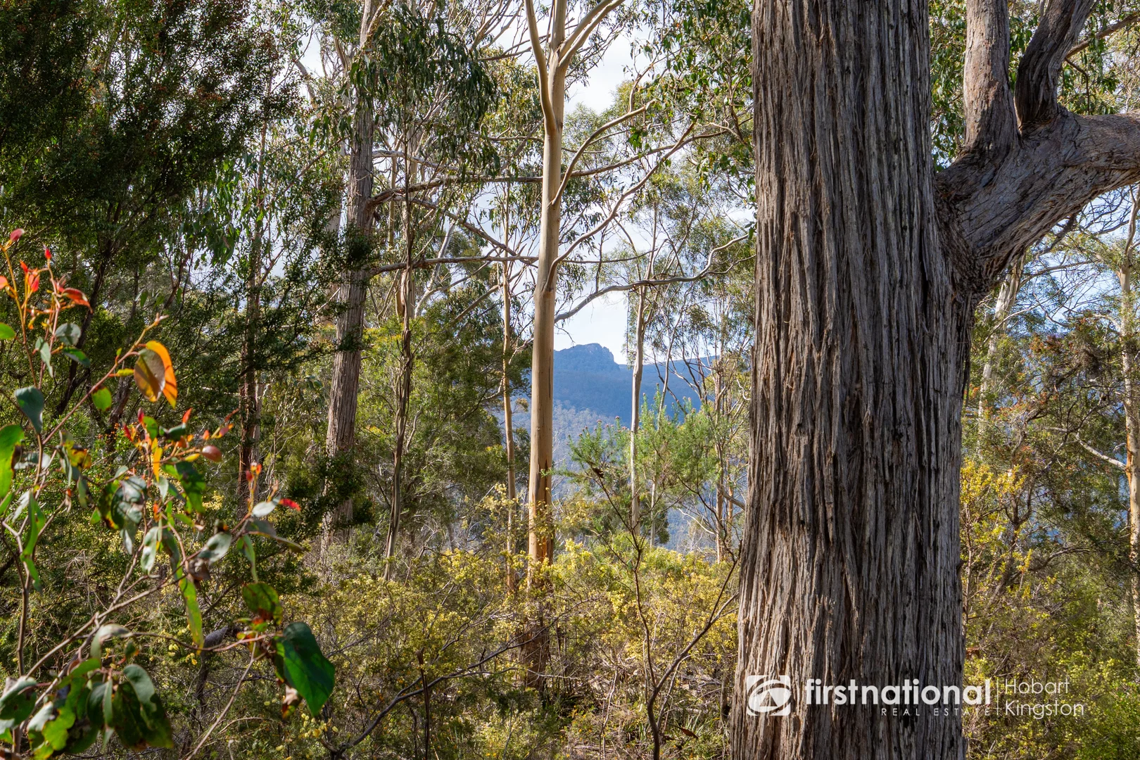 Additional image 9 of Krauses Road, Lower Longley TAS 7109