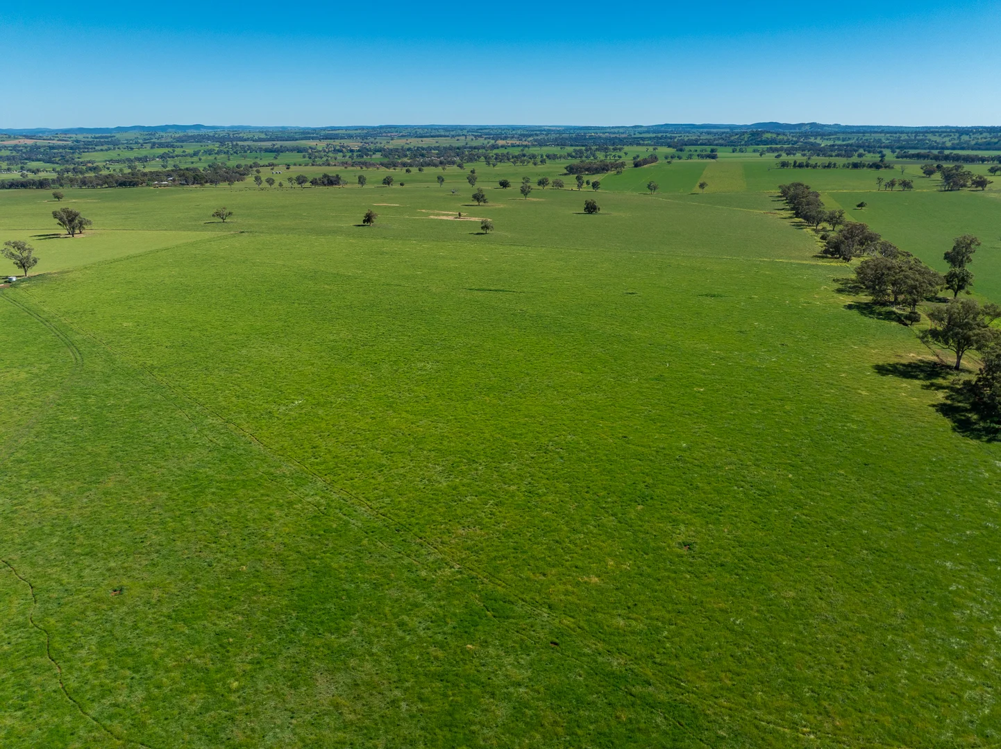 Additional image 19 of 'Wandella Park' 1097 Davys Plains Road via Cudal,, Orange NSW 2800