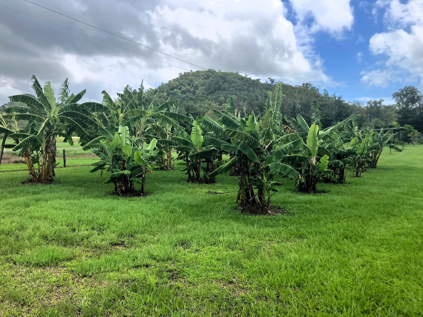 Additional image 5 of 24 Paskins Road, Yalboroo QLD 4741