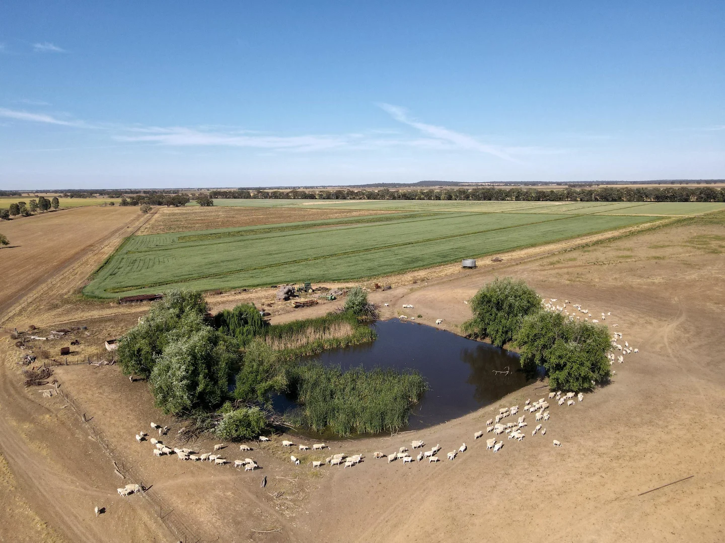 Additional image 6 of Part Farm 1051 46 Alexander Road, Murrami NSW 2705