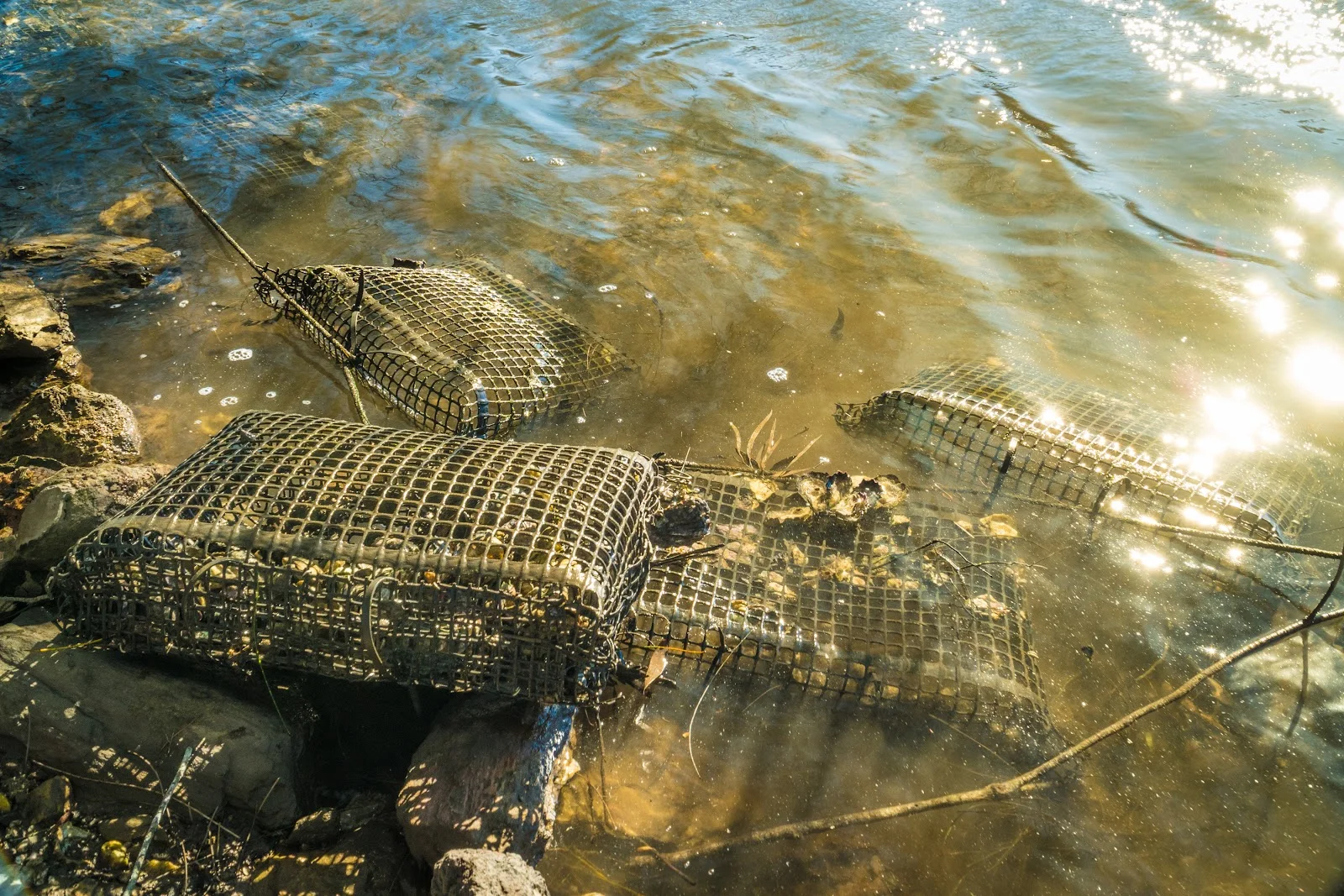 Additional image 18 of 950 Wagonga Scenic Drive, Narooma NSW 2546