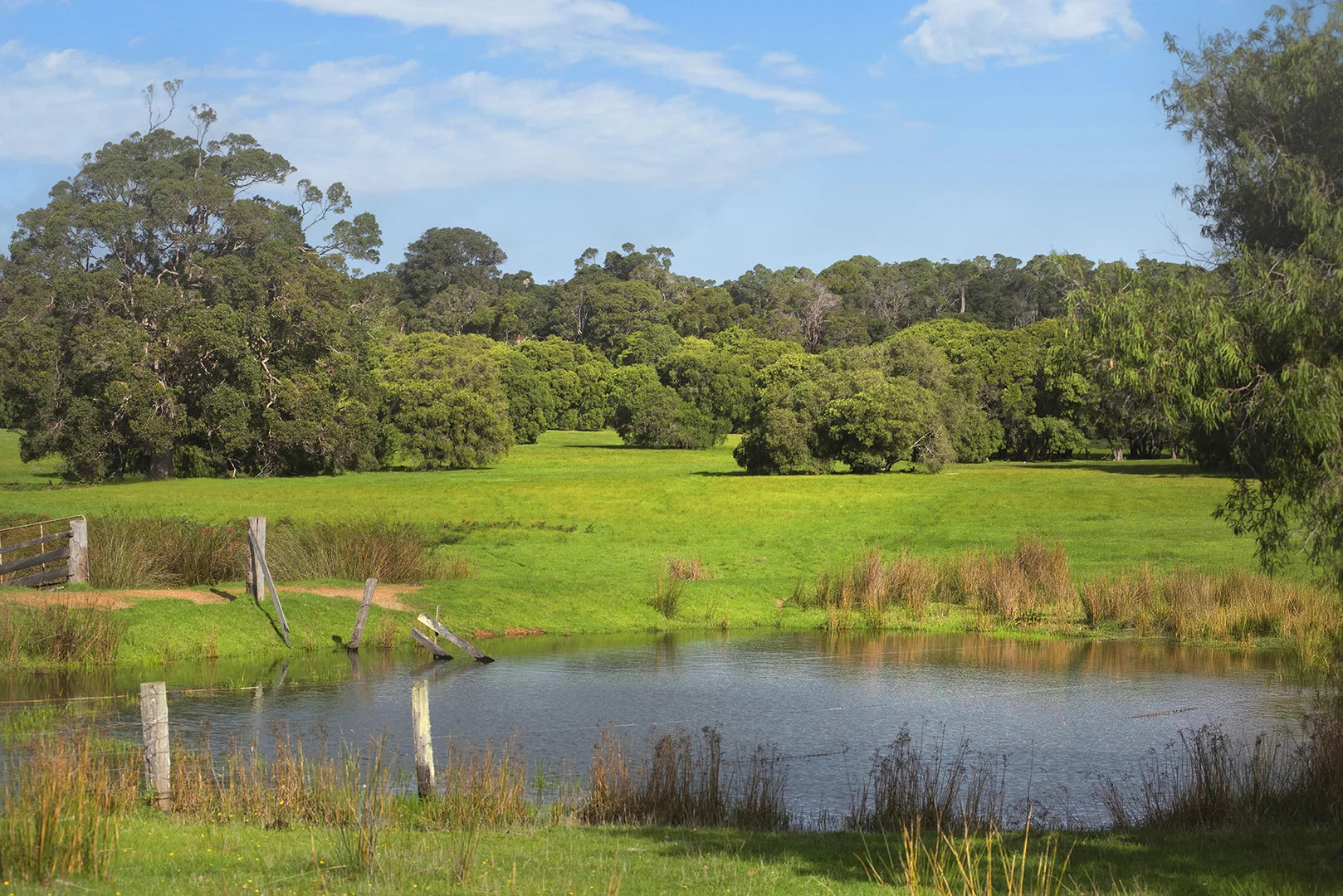 Additional image 12 of Stage 1B Blackwood Grove, Kudardup WA 6290