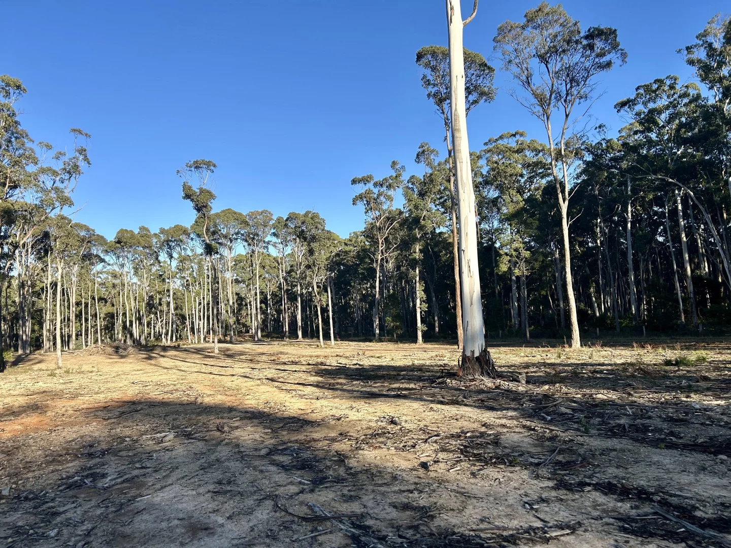 Additional image 5 of 175 Blighs Road, Trentham VIC 3458