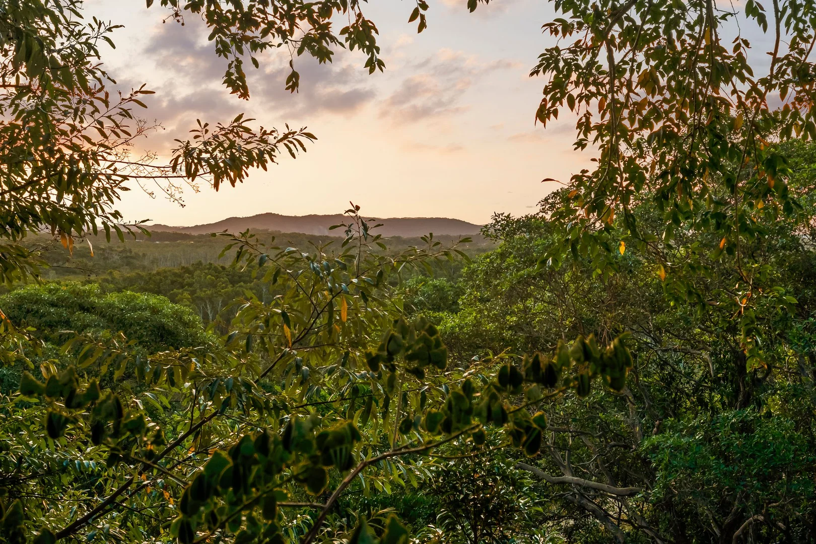 Additional image 3 of 31 Cormorant Crescent, Peregian Beach QLD 4573