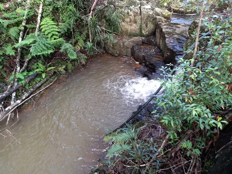 Additional image 22 of Dorrigo NSW 2453