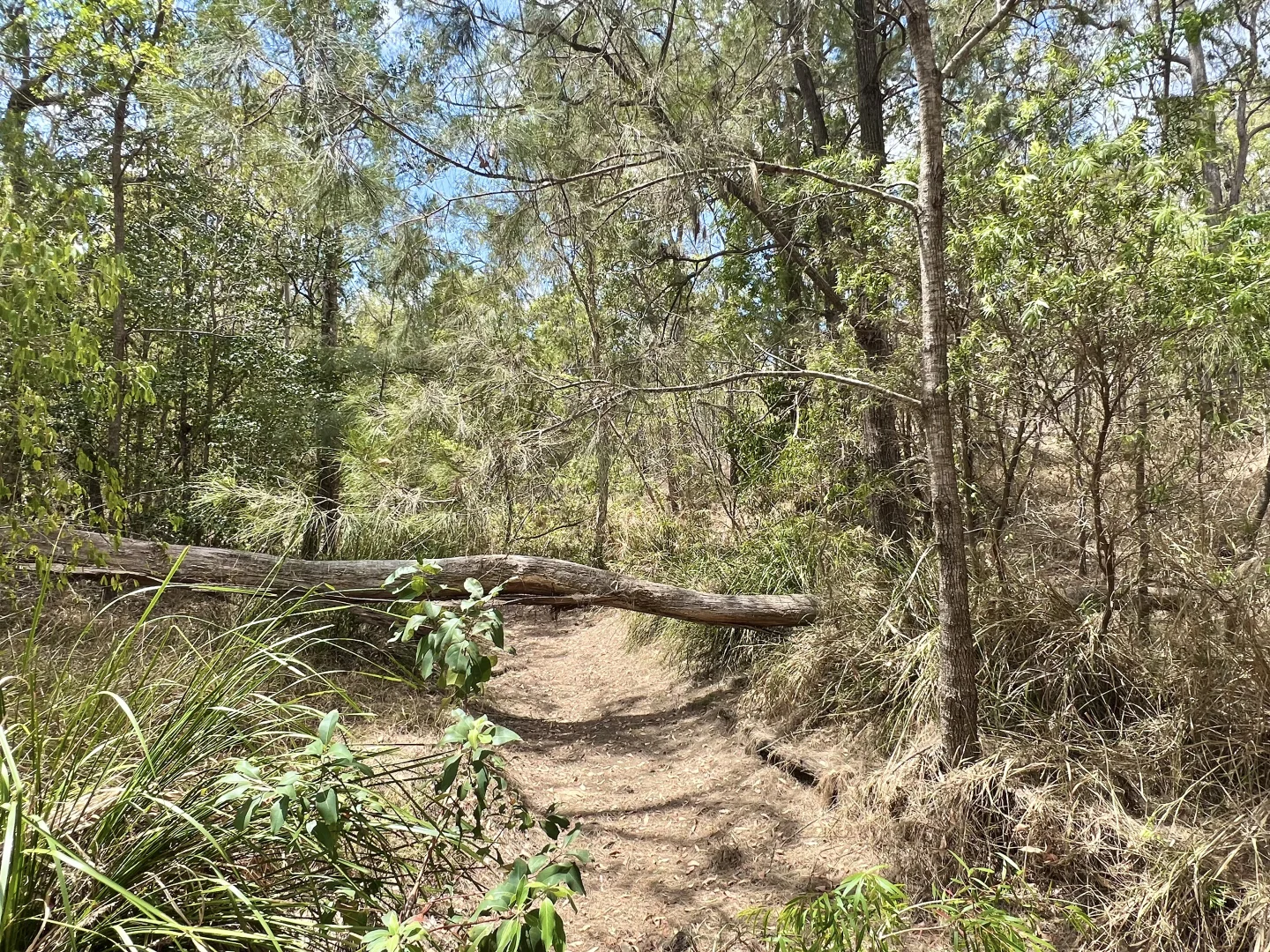 Additional image 4 of 380 Wildman Road, Iveragh QLD 4680
