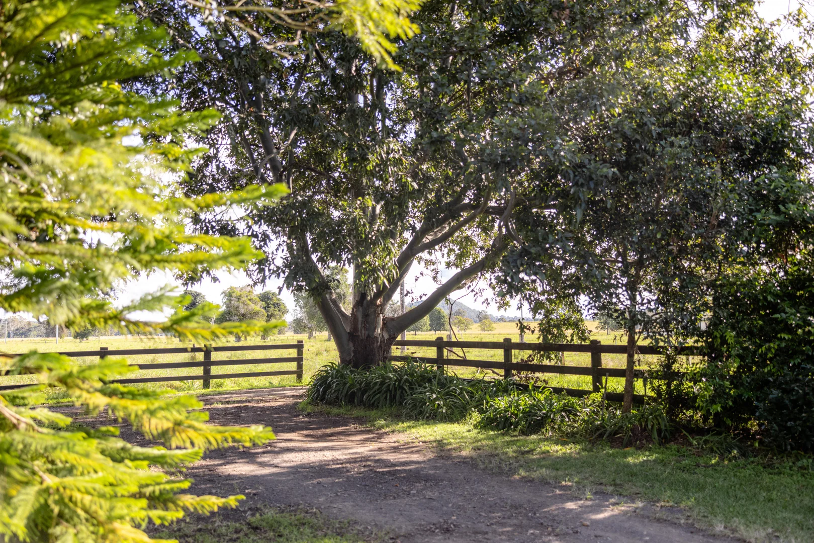 Additional image 4 of 70 Candoormakh Crescent, Nabiac NSW 2312