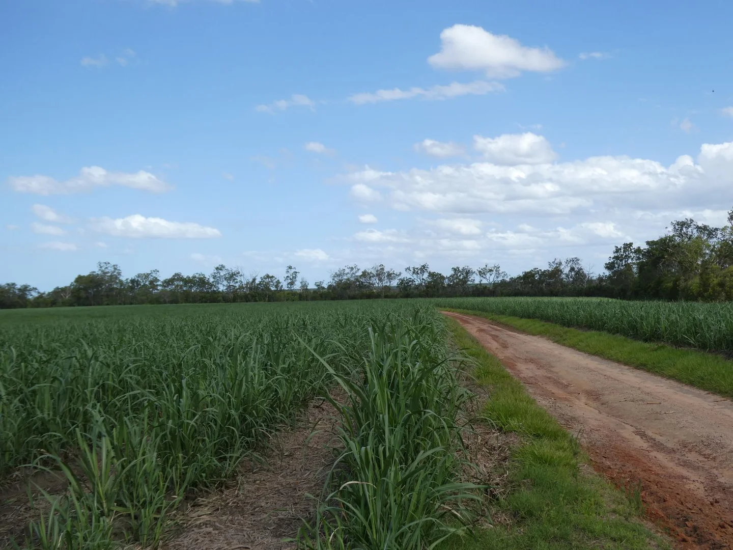 Additional image 19 of 3392 Childers Road, Gregory River QLD 4660