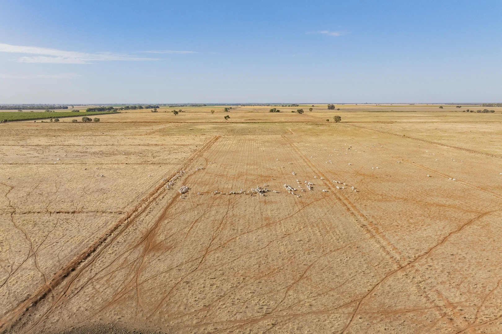 Additional image 3 of "Mayura" Johnson Road, Murrami NSW 2705