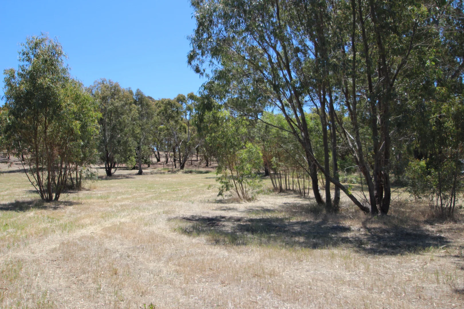 Additional image 15 of Lt 119/120 St Georges Terrace, Armagh SA 5453