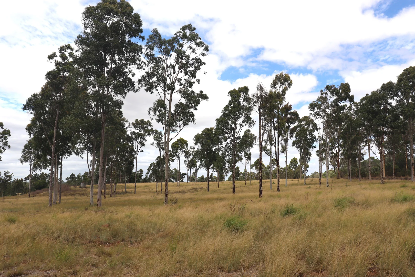 Additional image 4 of 225 Beils Road, Inverlaw QLD 4610