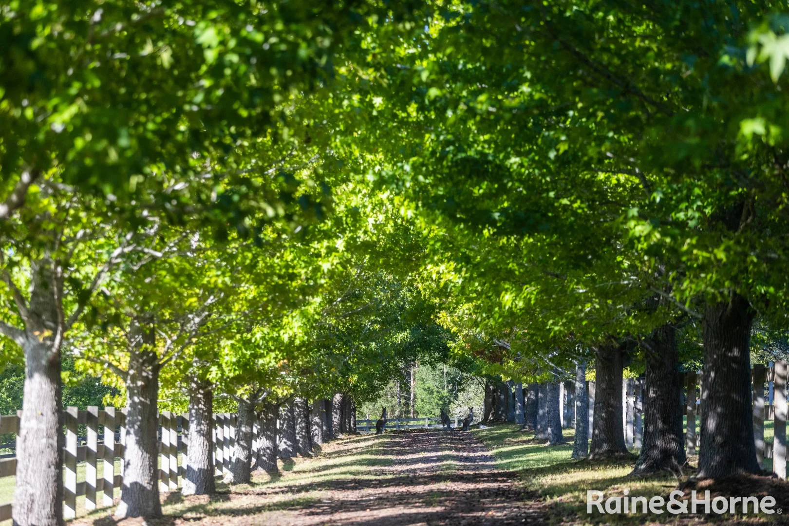 Additional image 12 of 56 Bawley Point Road, Termeil NSW 2539