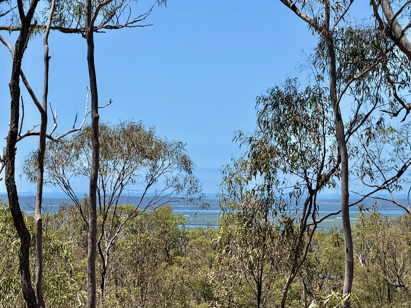 380 Wildman Road, Iveragh QLD 4680