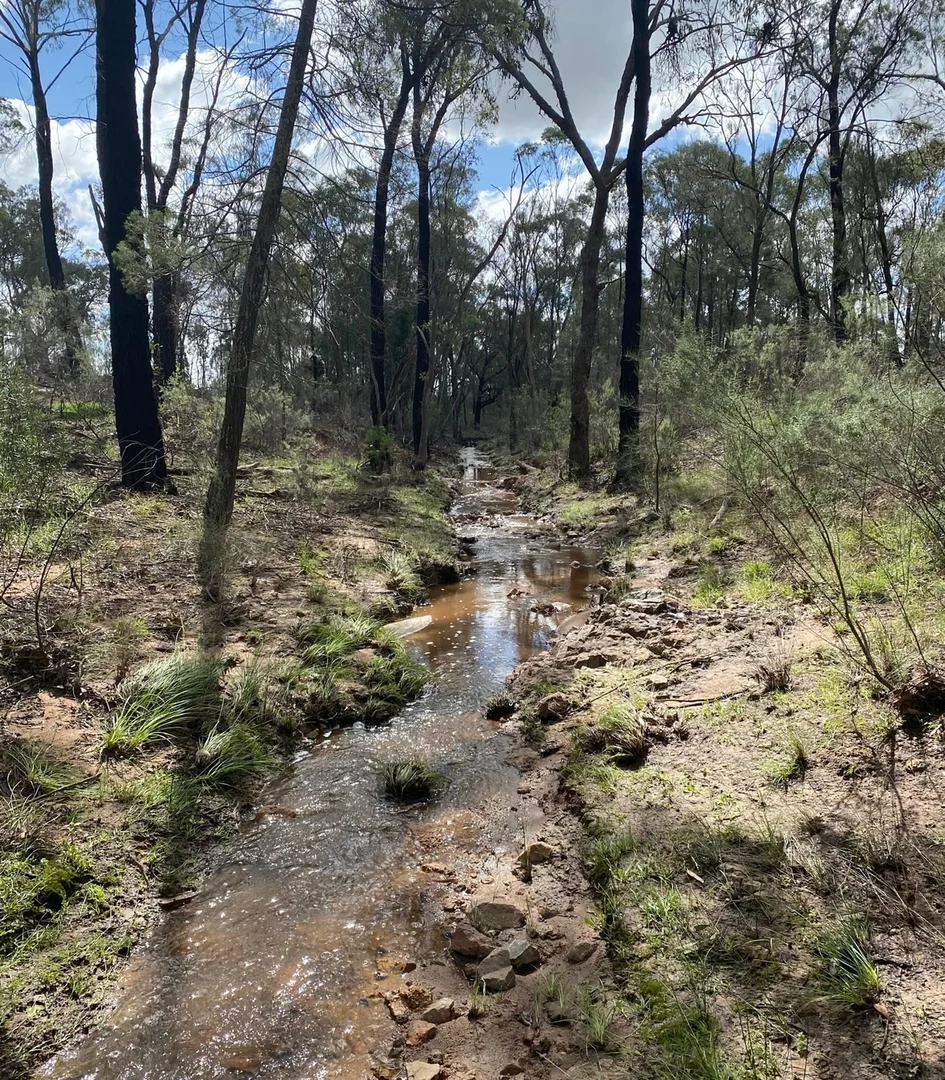 Additional image 22 of 47R Lagoon Creek Road, Minore NSW 2830