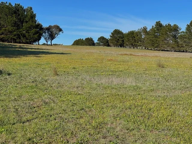 Additional image 26 of 1695 Gurrundah Road, Parkesbourne NSW 2580