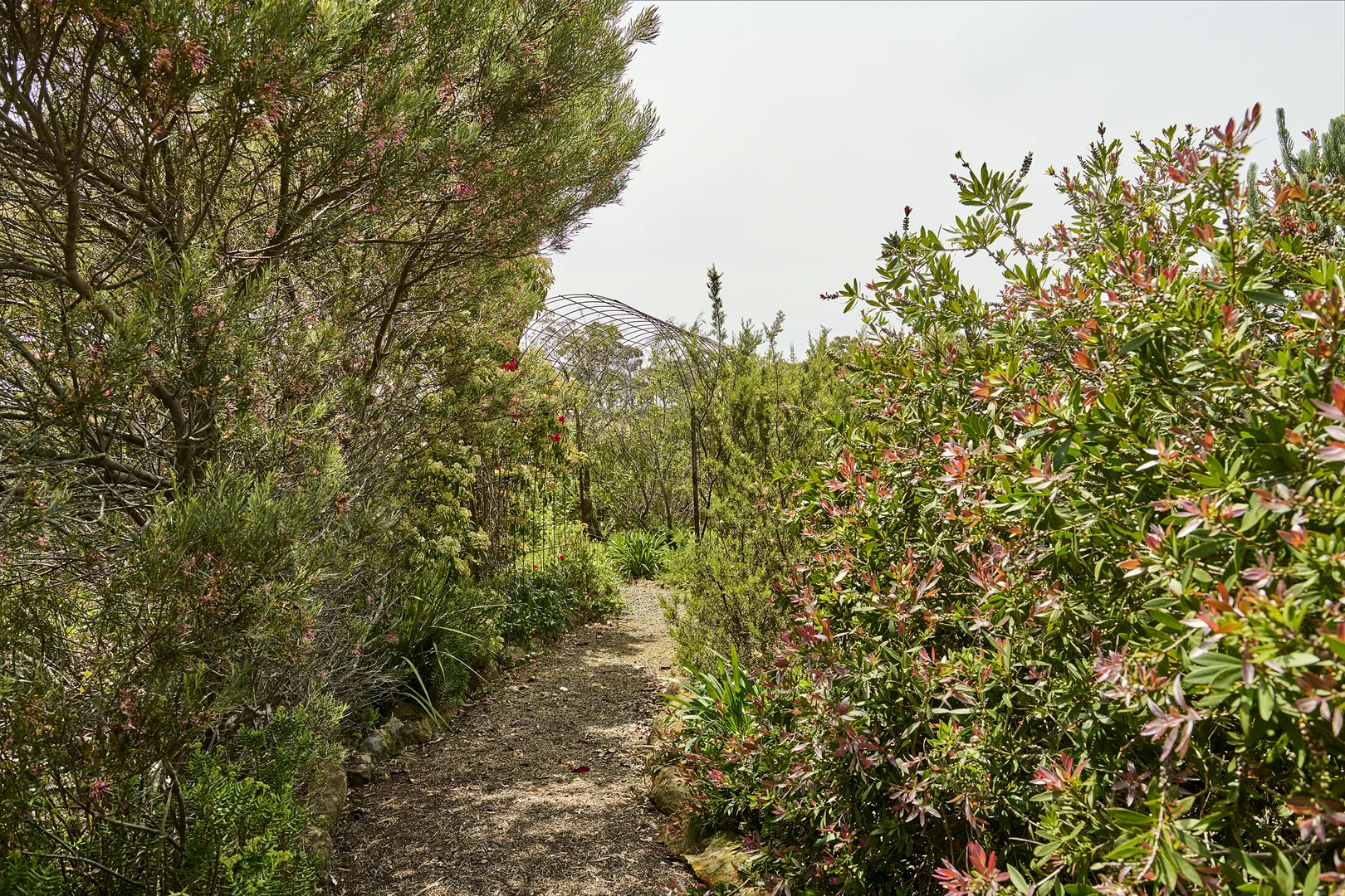 Additional image 25 of 211 Drummonds Lane, Heathcote VIC 3523