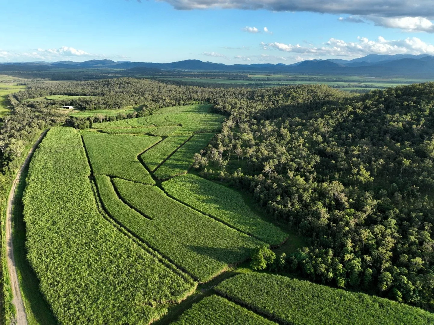 Additional image 5 of Sutherlands Road, Pindi Pindi QLD 4798