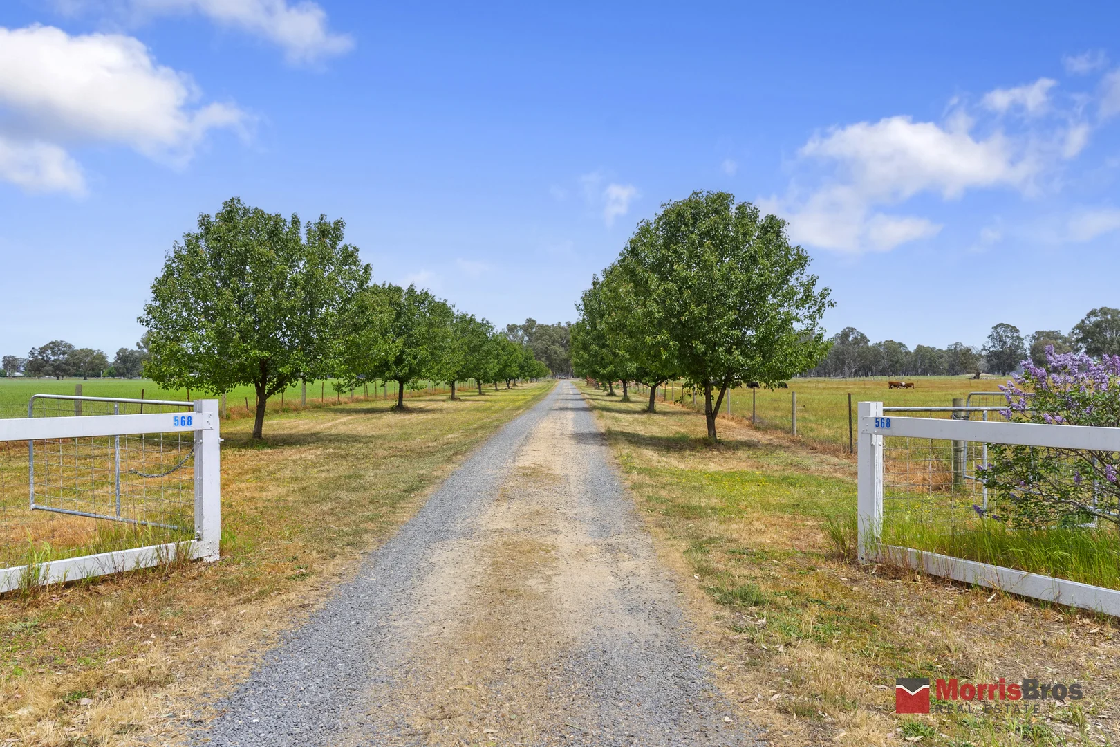 Additional image 23 of 586 Snow Road, Laceby VIC 3678