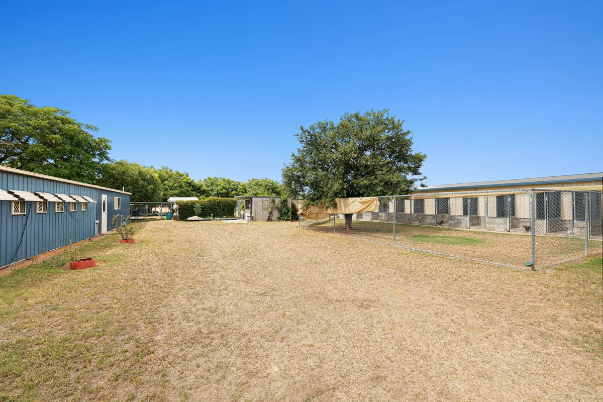 Additional image 14 of 9834 Newell Highway, Narrabri NSW 2390