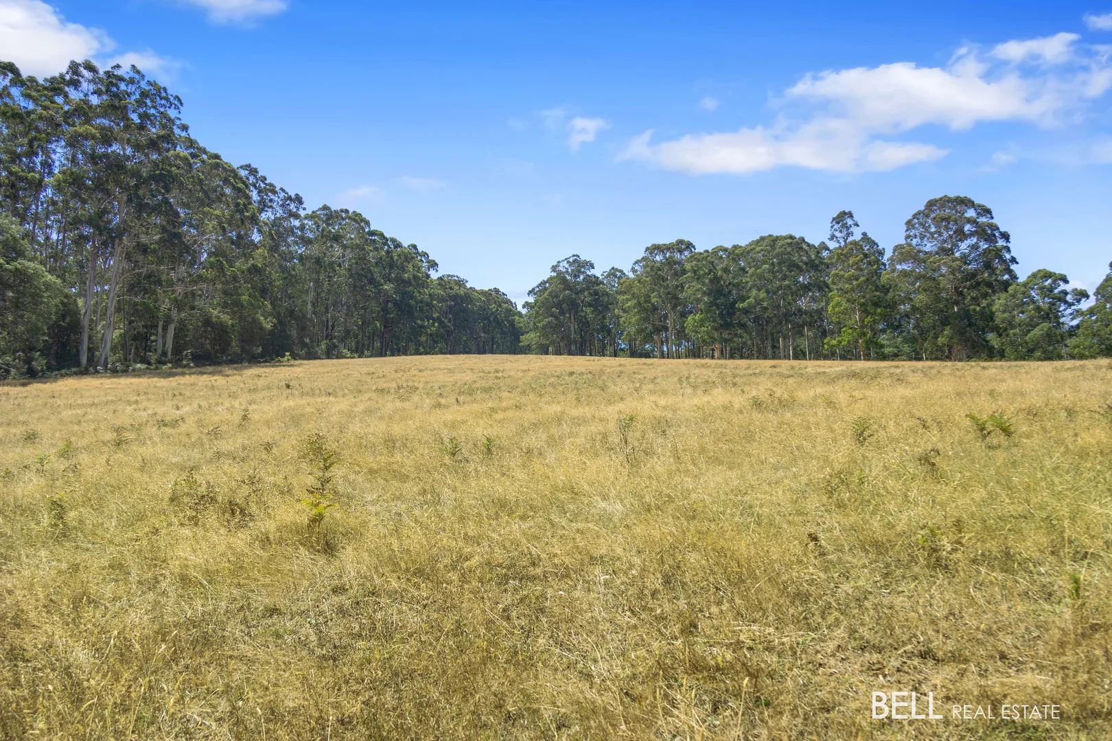 Additional image 3 of 1145 Little Yarra Road, Three Bridges VIC 3797