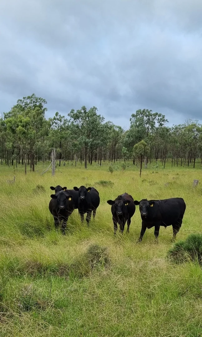 Additional image 3 of 0 Hazeldene Road, Thane QLD 4370