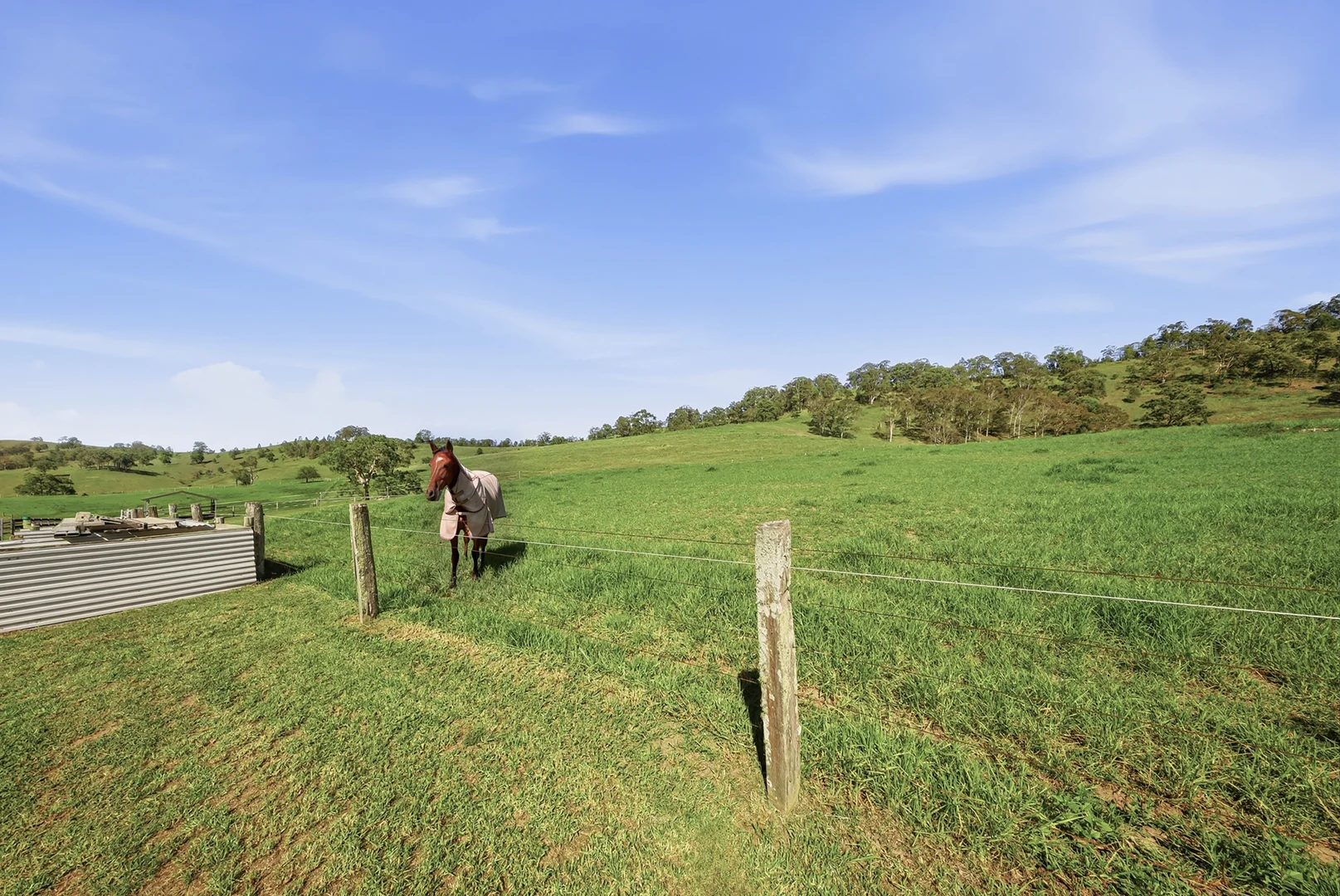 Additional image 41 of 729 Fosterton Road, Fosterton NSW 2420