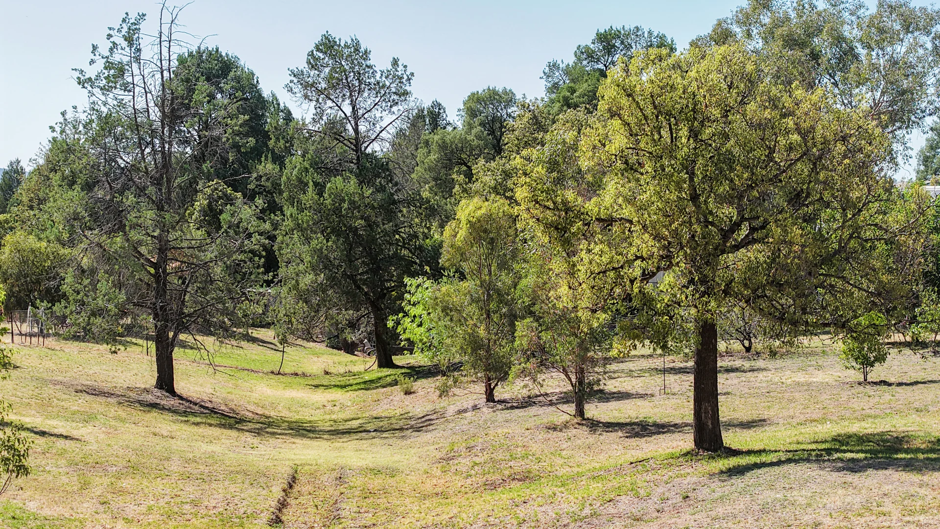 Additional image 29 of 25 Icely Street, Eugowra NSW 2806