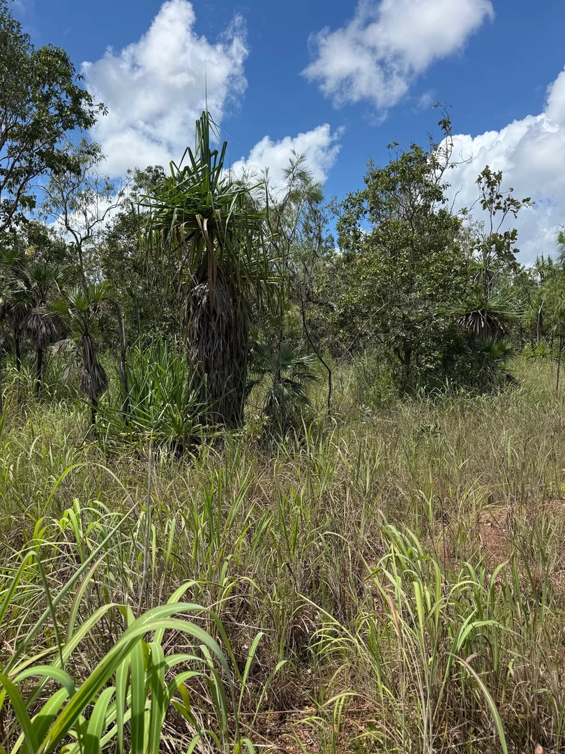Additional image 13 of 245 Livingstone Road, Livingstone NT 0822