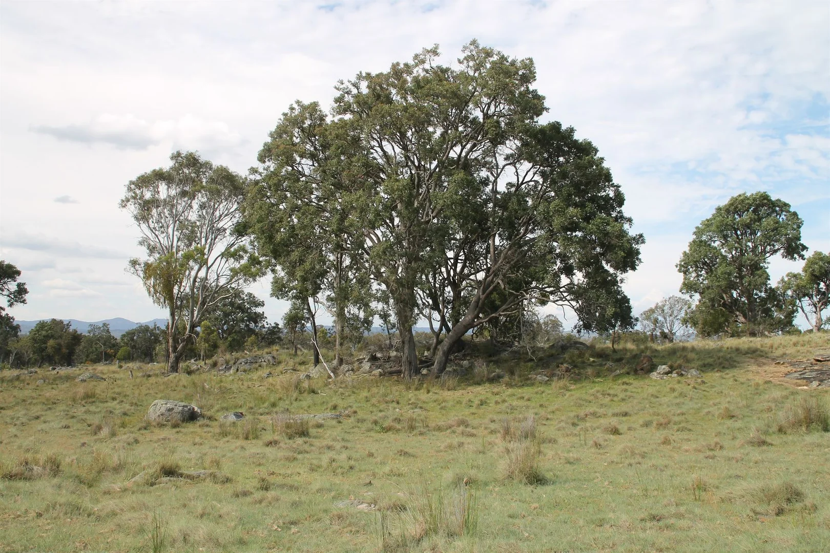 Additional image 2 of Lot 158 Woodside Road, Tenterfield NSW 2372