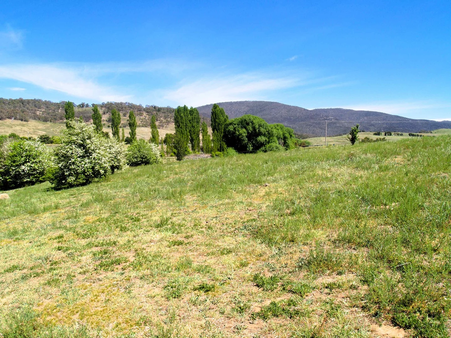 28 Ryrie Street, Michelago NSW 2620