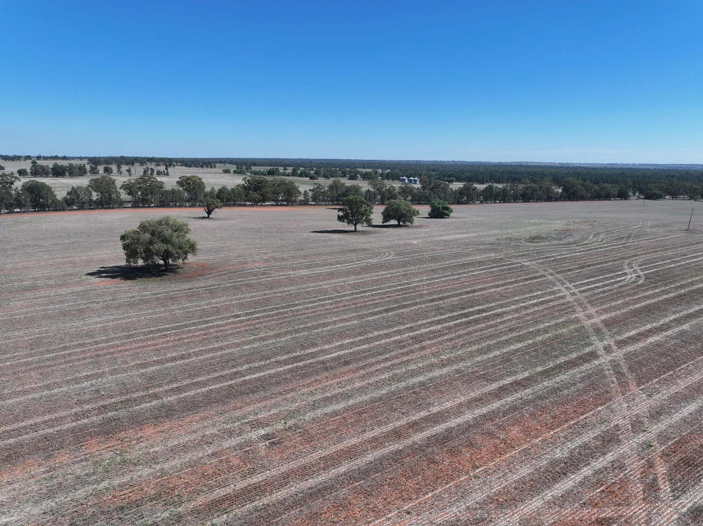 Additional image 17 of Shannonvale & Elmore Strontian Road, Boree Creek NSW 2652