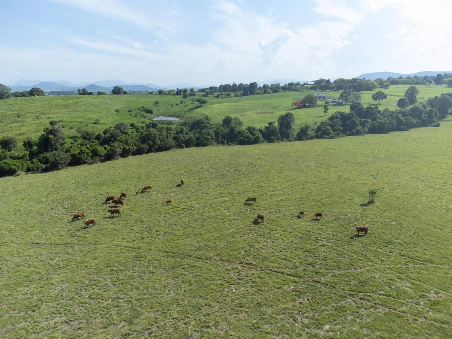 Additional image 30 of 219 Stanfield Rd, Teviotville QLD 4309