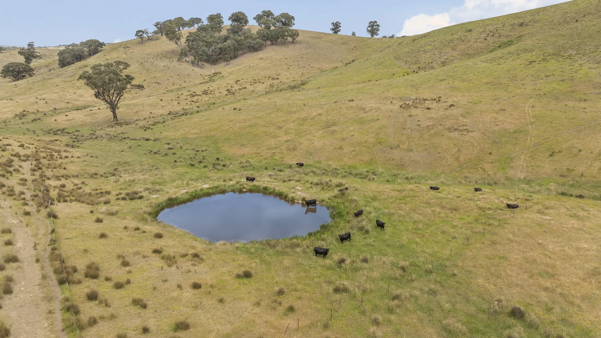 Additional image 8 of 600 Seymour-Pyalong Road, Hilldene VIC 3660