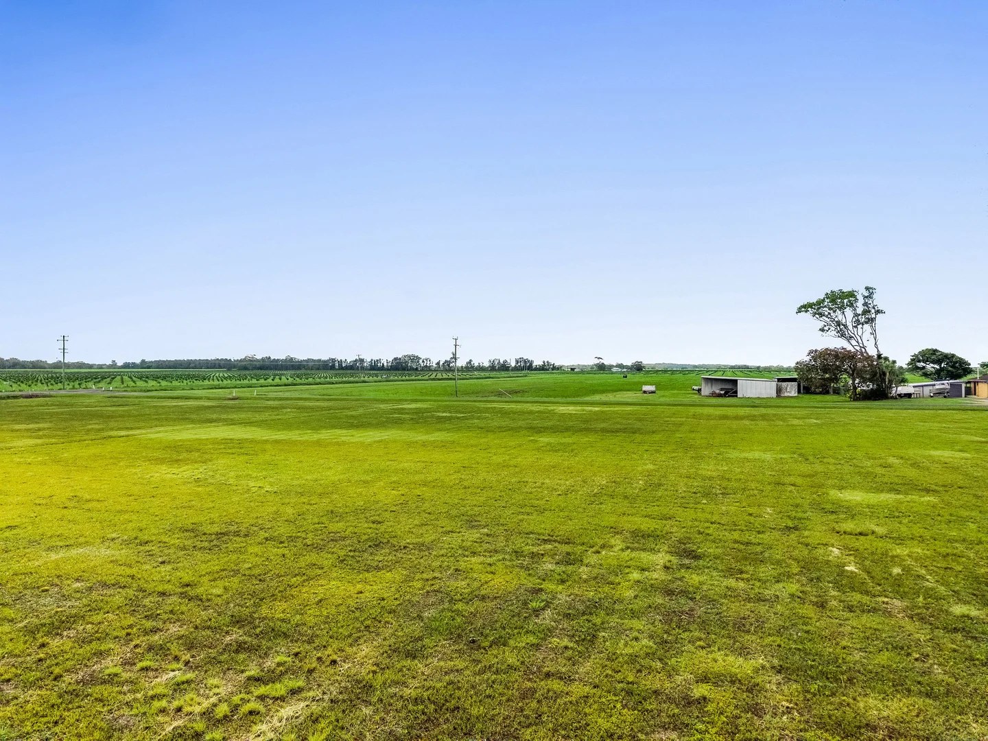 Additional image 14 of Lot 20 Hermans Lane, Pimlico NSW 2478