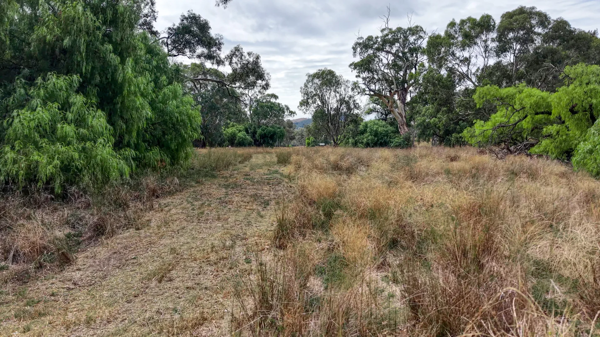 Additional image 9 of 1213 Mole River Road, Tenterfield NSW 2372