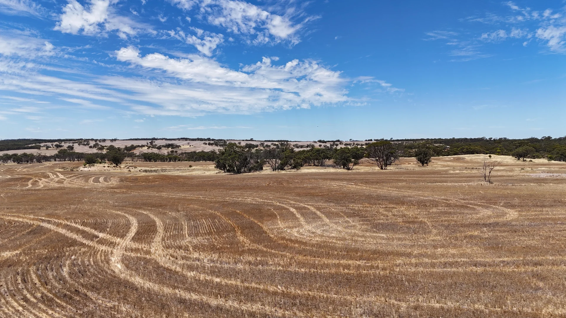 Additional image 18 of 8662 Cunderdin-Quairading Road, Youndegin WA 6407
