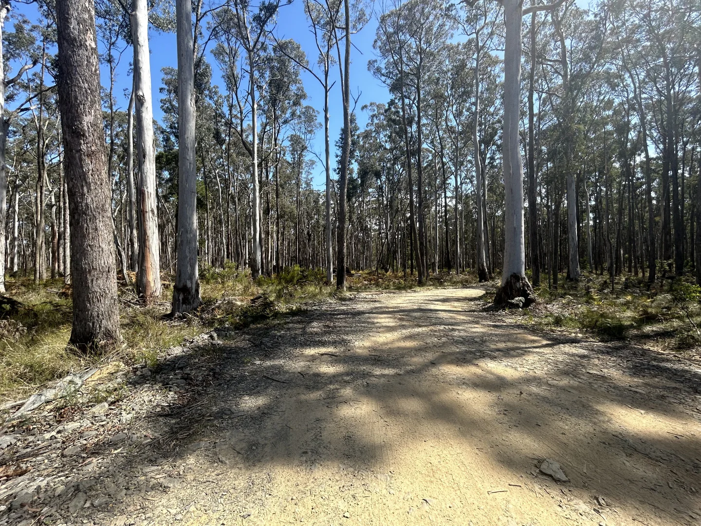 Additional image 13 of 175 Blighs Road, Trentham VIC 3458