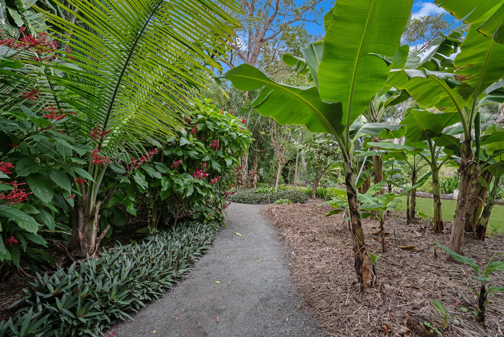 Additional image 5 of 19 Brooke Court, Oakhurst QLD 4650