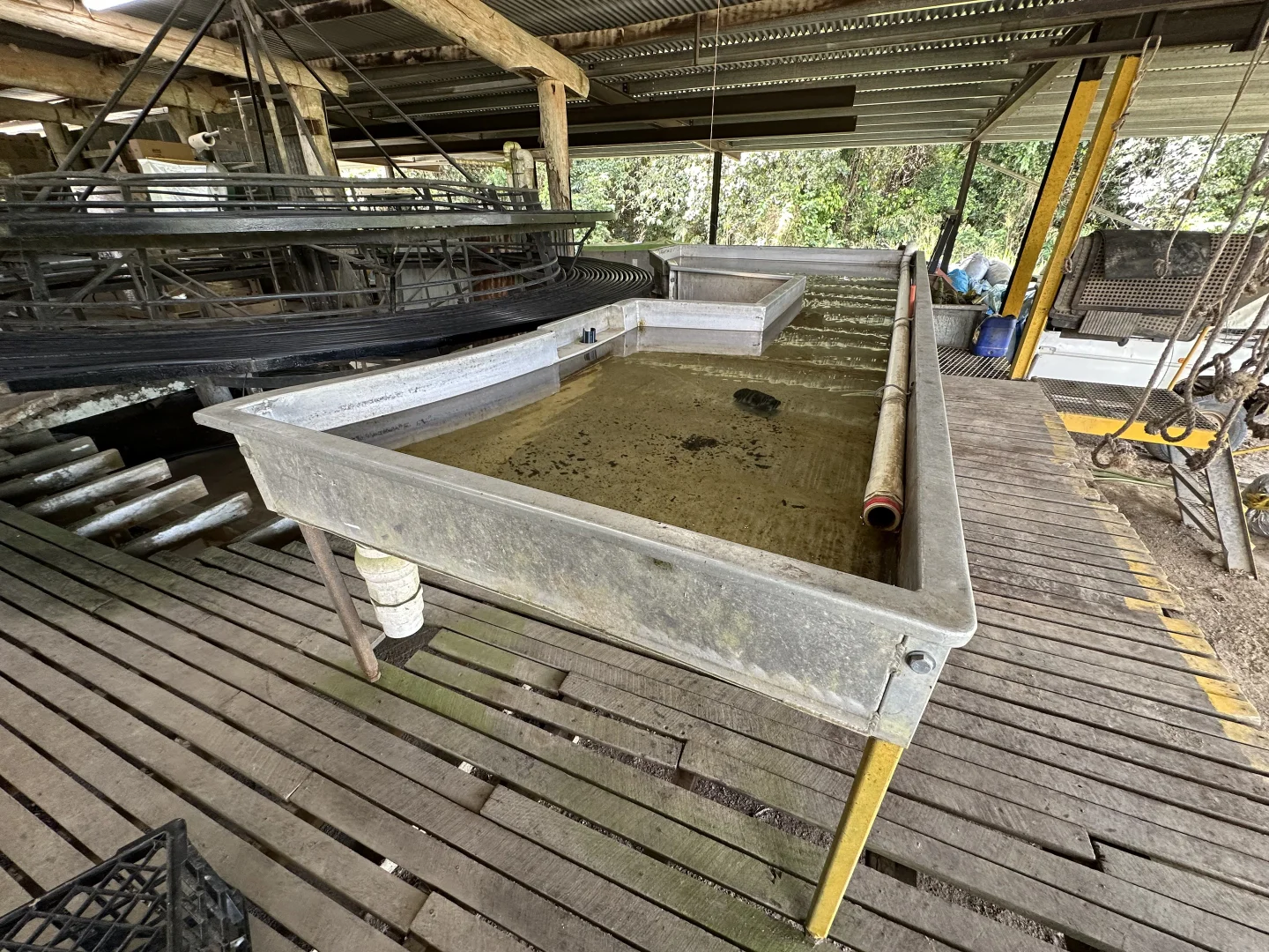 Additional image 14 of Murray Upper QLD 4854